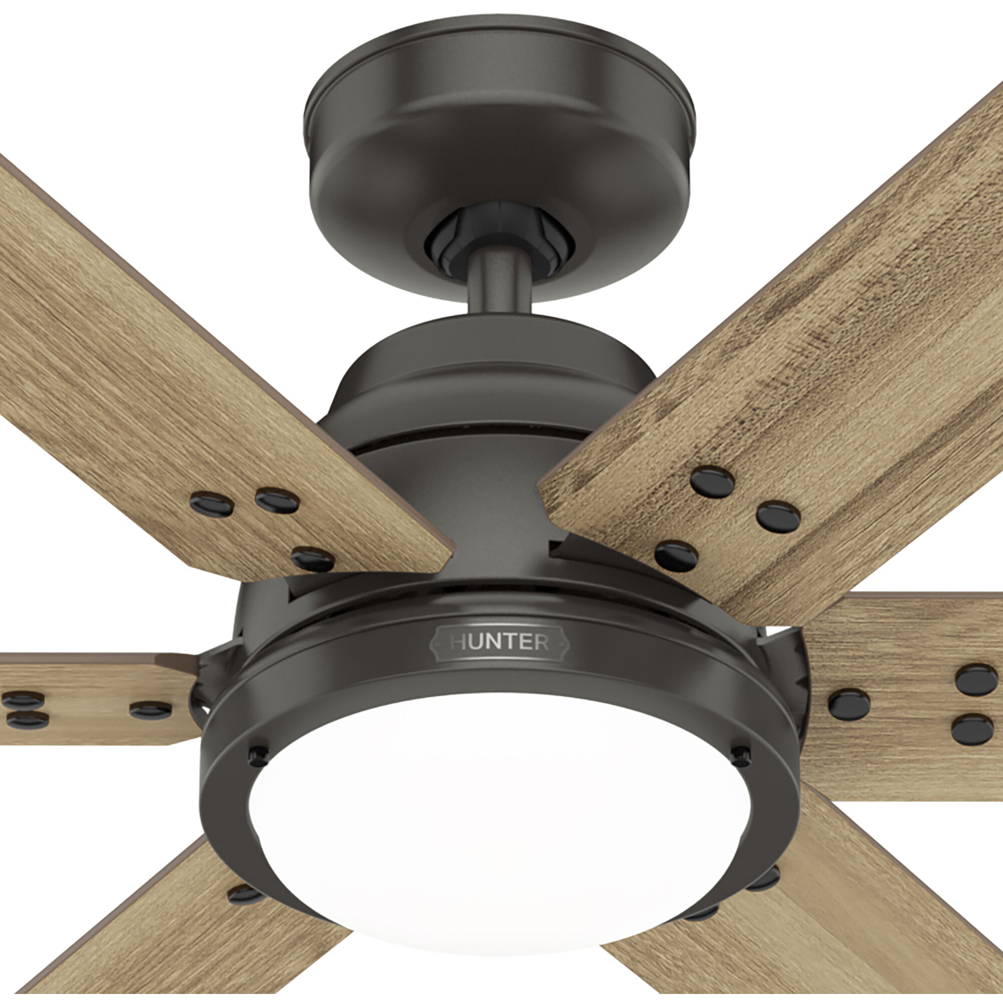 Gravity 72 inch Noble Bronze with Golden Maple Blades Ceiling Fan