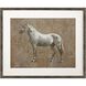 Animals Collection Brown Framed Art