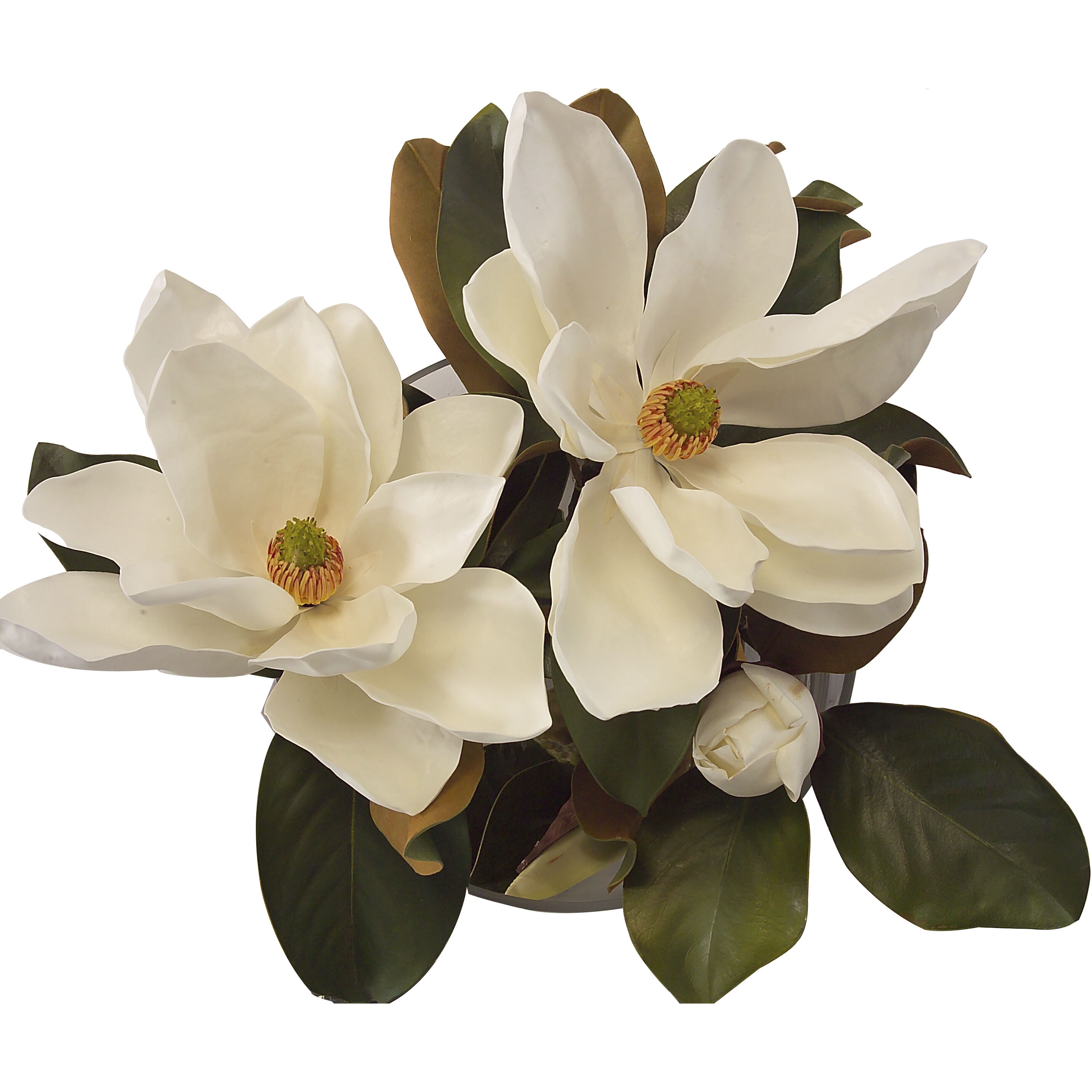 Magnolia White Decorative Flower