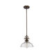 Virginia 1 Light 9.75 inch Pendant