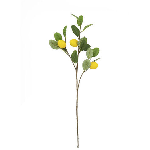 Lemon Spray Green and Yellow Botanical