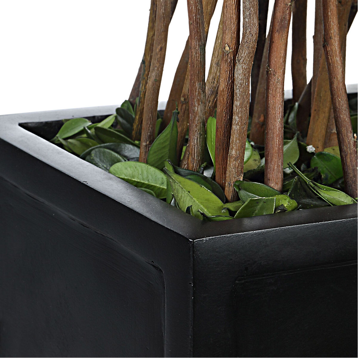 Uttermost 60188 Preserved Boxwood Evergreen Foliage and