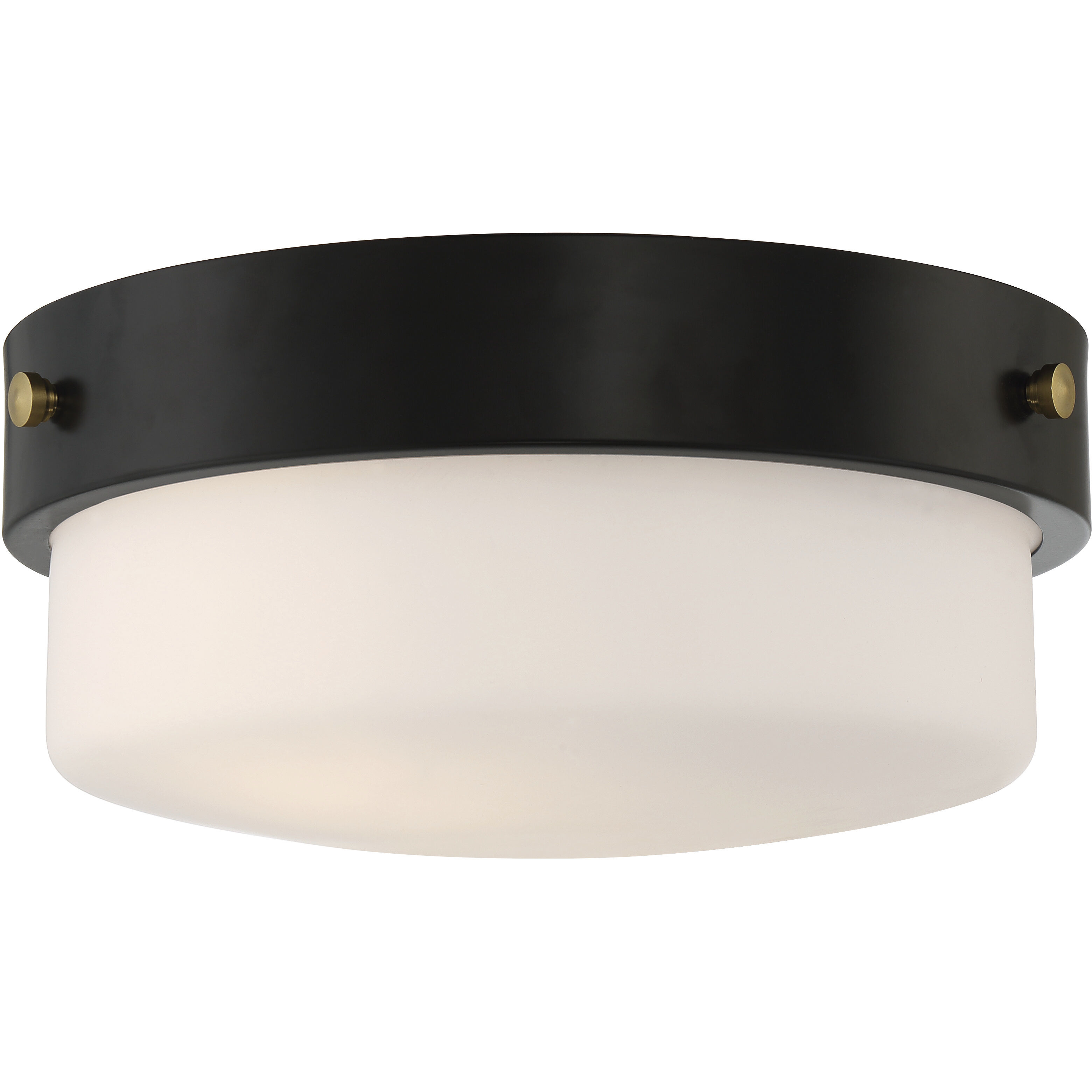 Oak Street 2 Light 13 inch Flat Black Flushmount Ceiling Light