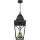 Cardigan 3 Light 11 inch Sand Coal and Olden Brass Outdoor Pendant, Great Outdoors