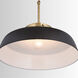 Oakwood 1 Light 18 inch Matte Black Pendant Ceiling Light