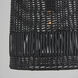 Naomi 1 Light 13.75 inch Matte Black Pendant Ceiling Light
