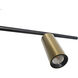 Spartan LED 2 inch Matte Black and Gold Pendant Ceiling Light