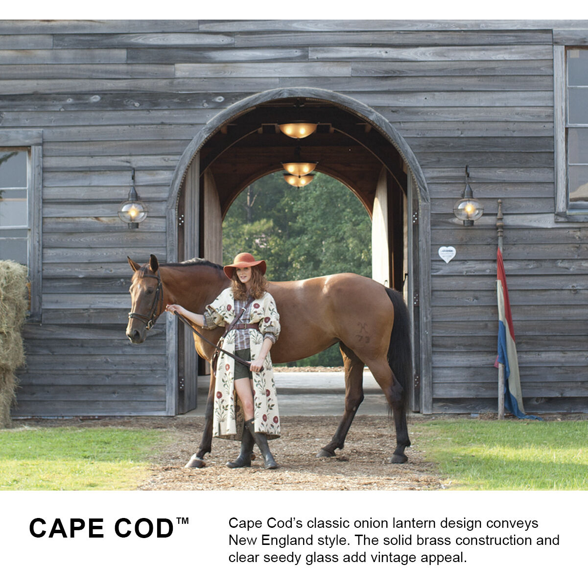 Cape Cod 1 Light 11 inch Burnished Bronze Outdoor Hanging