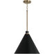 Bradley 1 Light 15 inch Aged Brass and Black Pendant Ceiling Light