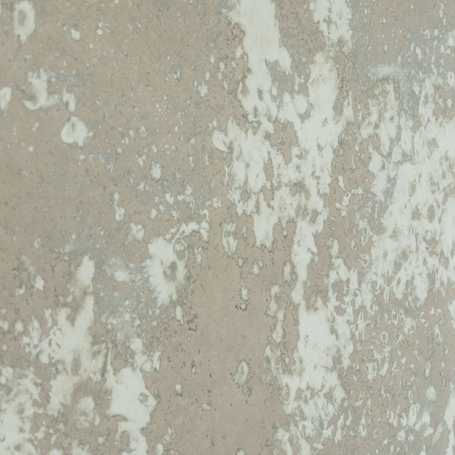 Elise 68 X 20 inch Cerused Mirror