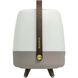 Lite Up Play 15.75 X 11.4 inch Earth Light Brown Taupe Portable Speaker Lamp in Earth Light Brown/Taupe, Kooduu