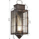 Norfield 1 Light 20.25 inch Dark Brass Outdoor Sconce in Seedy Glass, Brass Traditions by Innovations Lighting