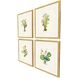 Delicate Medley Multi and Green and White and Pink Framed Art