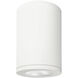 Tube Arch LED 4.88 inch White Outdoor Flush in Flood, 90, Color Changing