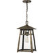 Merle 1 Light 9 inch Statuary Bronze Outdoor Hanging Lantern, Large