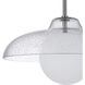 Dayana LED 15 inch Clear Pendant Ceiling Light
