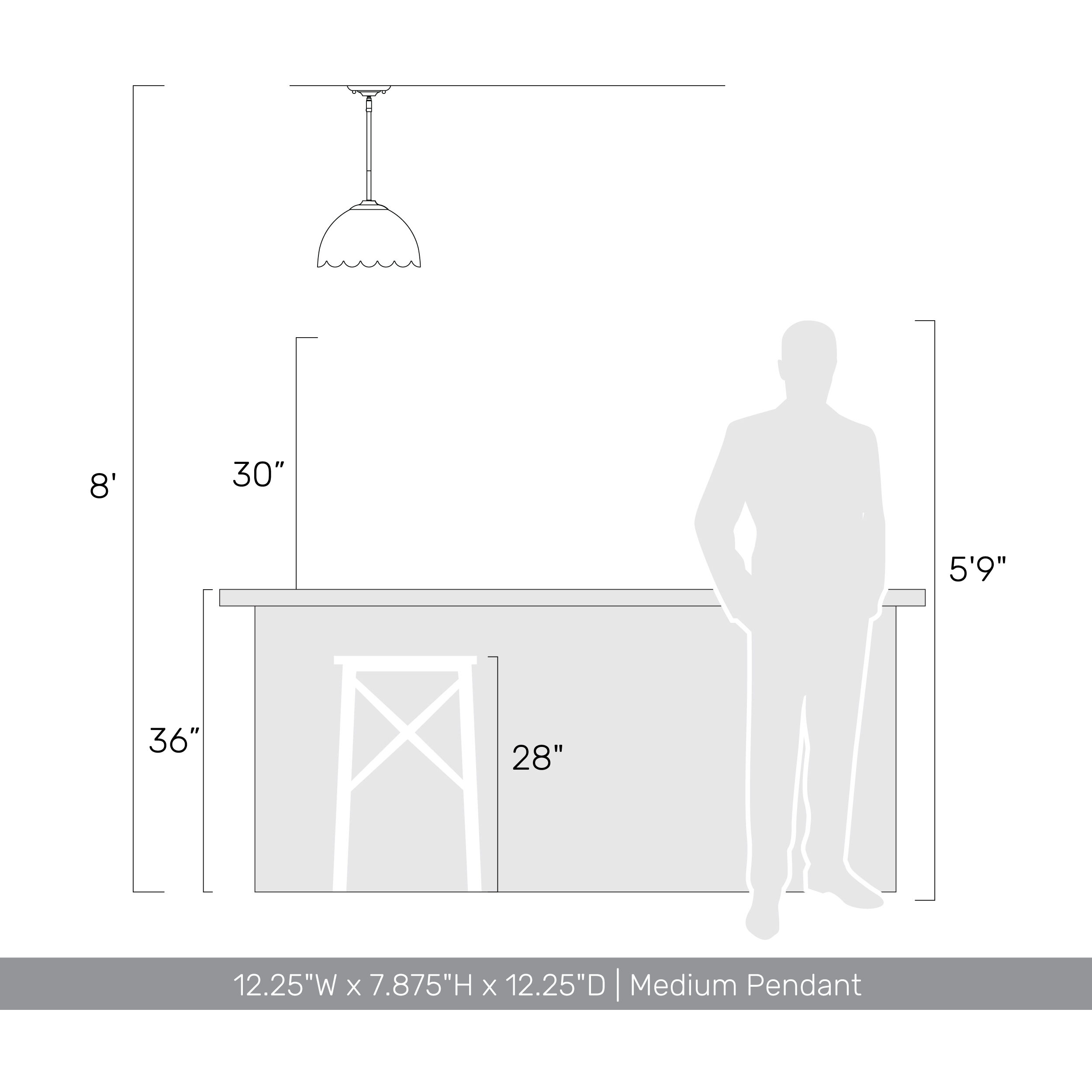 Dorinda Pendant Ceiling Light in Matte Black