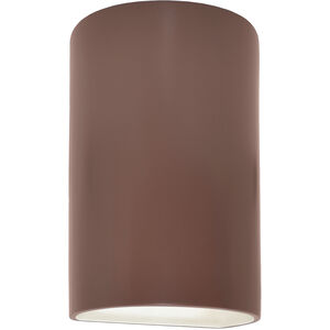Ambiance LED 9.5 inch Canyon Clay Outdoor Wall Sconce