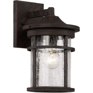 Avalon 1 Light 11 inch Rust Outdoor Wall Lantern
