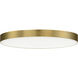 Trim LED 9 inch Satin Brass Flush Mount Ceiling Light