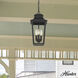 Spring Cove 3 Light 8 inch Matte Black Outdoor Pendant, Large