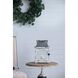 Evelyn White/Silver Lantern