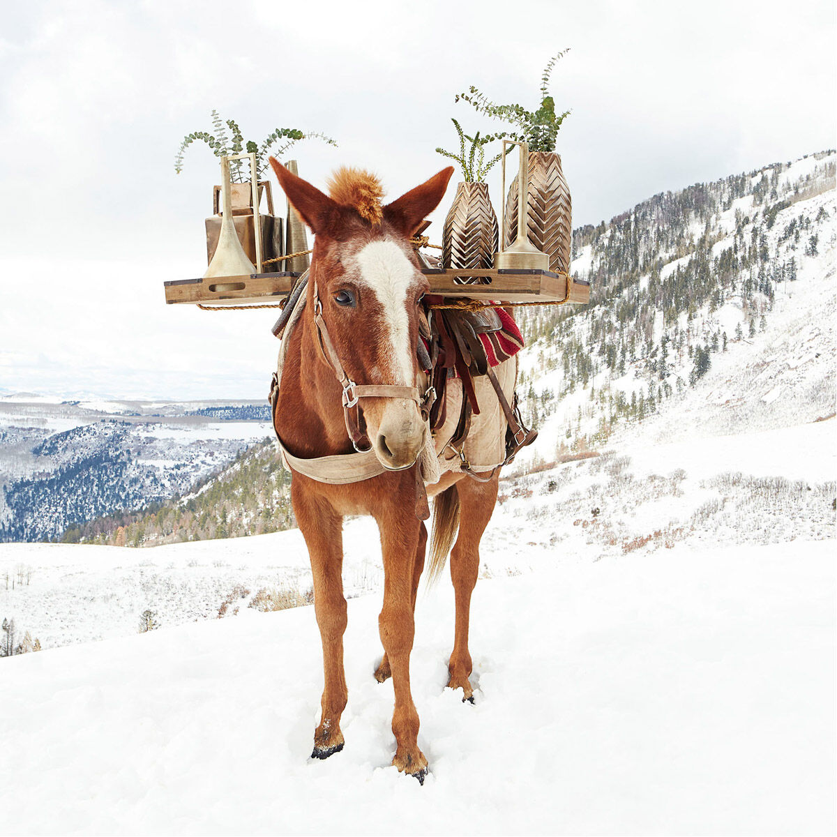 Hanging Around Bronze Container