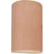 Ambiance 1 Light 9.5 inch Gloss Blush Outdoor Wall Sconce in Incandescent