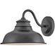 Wallace Outdoor Barn Light in Aged Zinc, Gooseneck