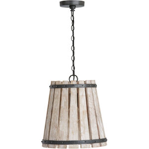 Remi 1 Light 14.25 inch Brushed White Wash and Nordic Iron Pendant Ceiling Light
