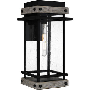 Strader 1 Light 9.5 inch Matte Black Outdoor Lantern, Large