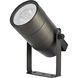 Aera 12 50.00 watt Dark Bronze Outdoor Landscape Spot Light
