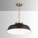 Oakwood 1 Light 18 inch Matte Black Pendant Ceiling Light