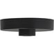 Sean Lavin Modern Nightshade Black Line-Voltage Shallow Canopy