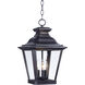 Knoxville 3 Light 11 inch Bronze Outdoor Hanging Lantern