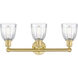 Brookfield 3 Light 23.75 inch Satin Gold Bath Vanity Light Wall Light in Clear