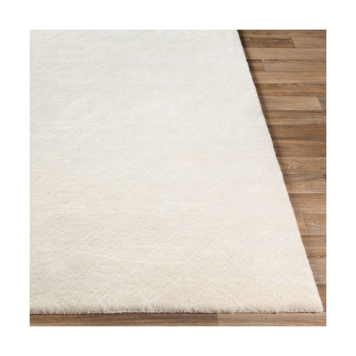 Casa 72 X 48 inch Cream Rugs