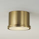 Griffin 1 Light 8.75 inch Aged Brass Flush Mount Ceiling Light