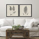 Modern Ferns Neutral and Black and Beige Framed Art