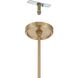 Agate 4 Light 20 inch Champagne Gold Pendant Ceiling Light
