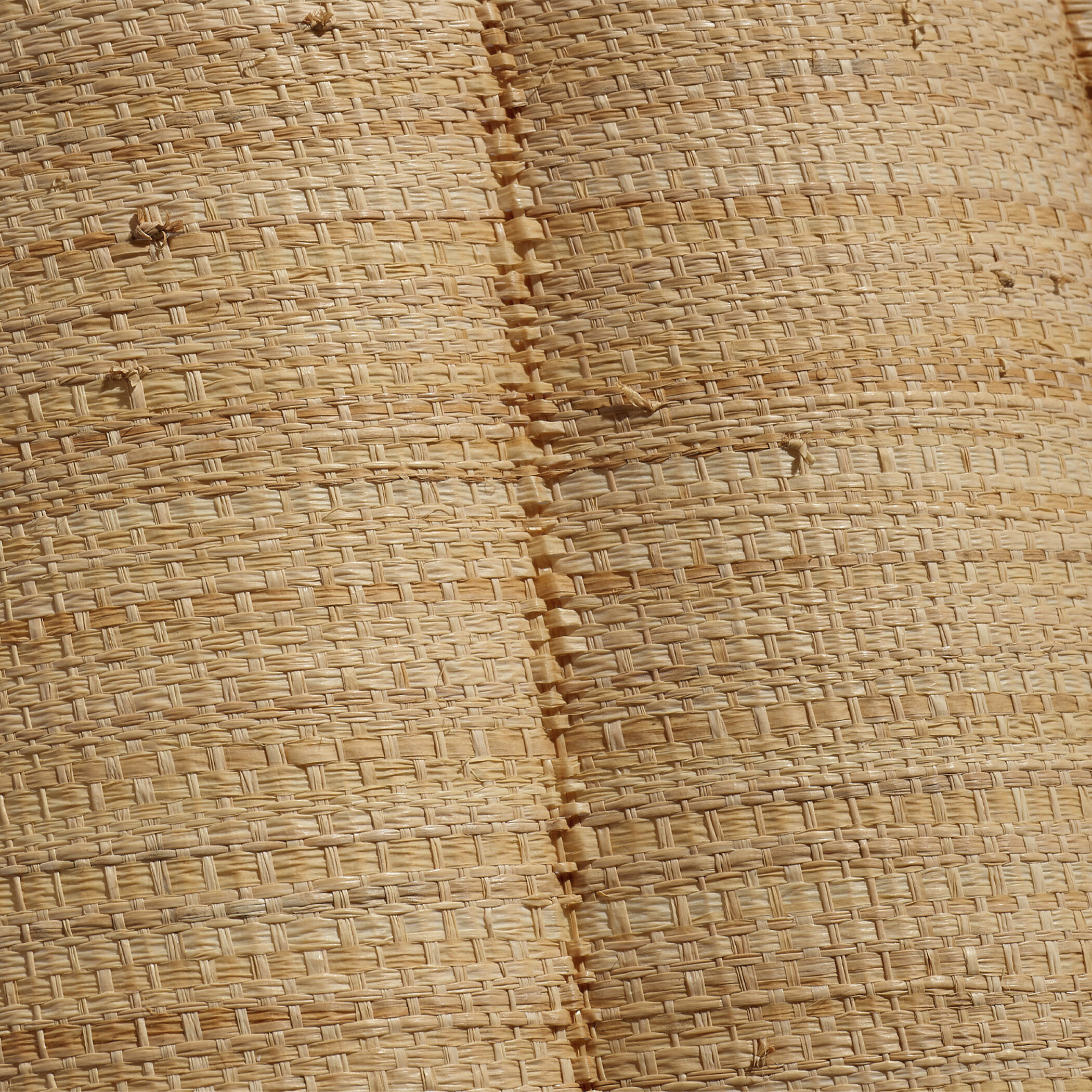 Scalloped 1 Light 14 inch Brass Wall Sconce Wall Light in Natural Raffia