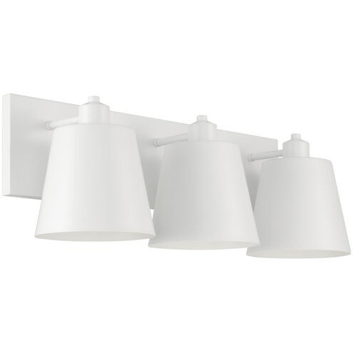 Alden 3 Light 24 inch Matte White Vanity Light Wall Light