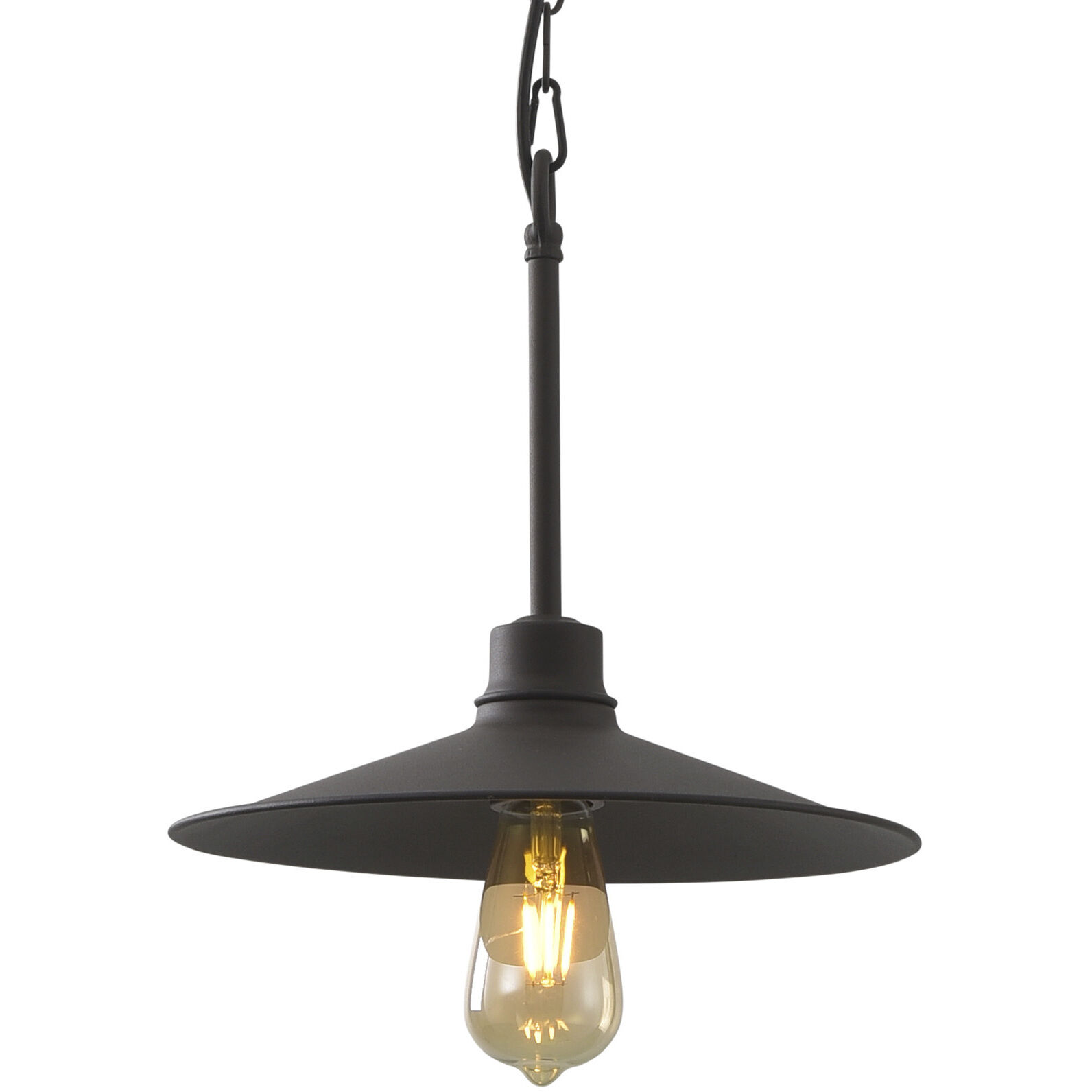 Clayton 1 Light 12 inch Dark Coffee Pendant Ceiling Light