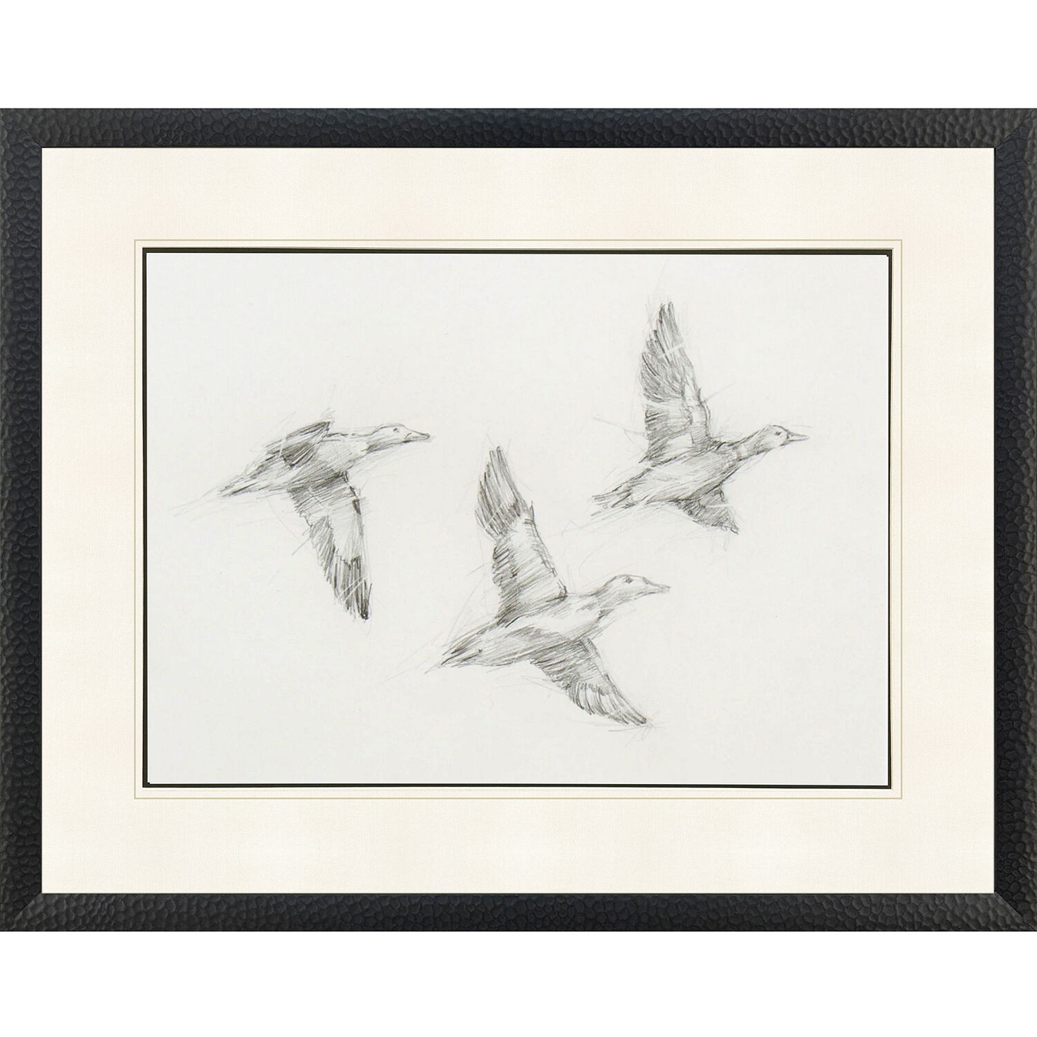 Mallard Duck Sketch Black and Beige and Gray Framed Art