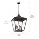 Homestead Dame 4 Light 19 inch Anvil Iron Foyer Pendant Ceiling Light, Dame