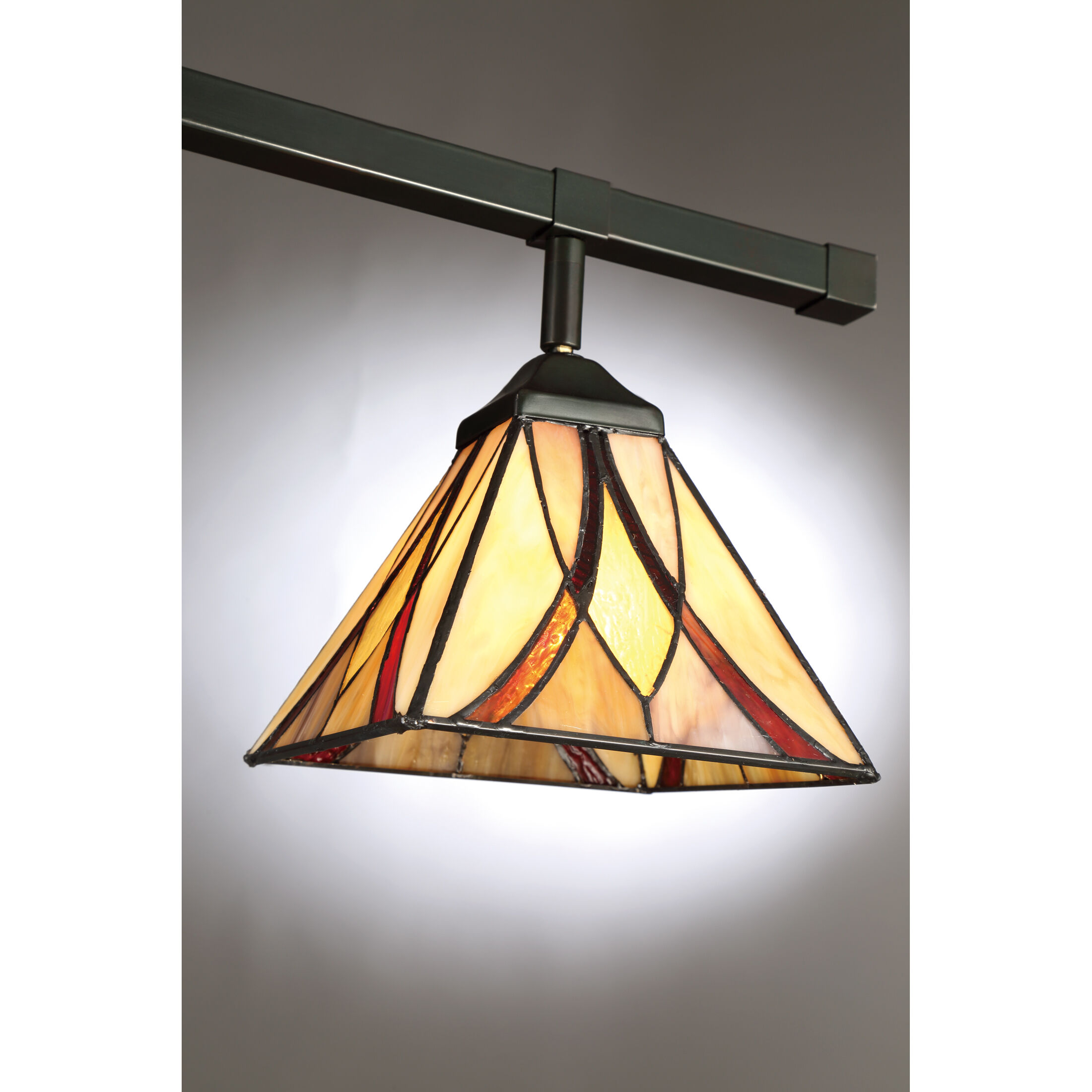Asheville 4 Light 120V Valiant Bronze Track Light Ceiling Light, Naturals