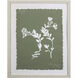 Botanical Garden Green Framed Art, Propac
