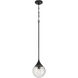 Reflection 1 Light 8 inch Flat Black Mini Pendant Ceiling Light