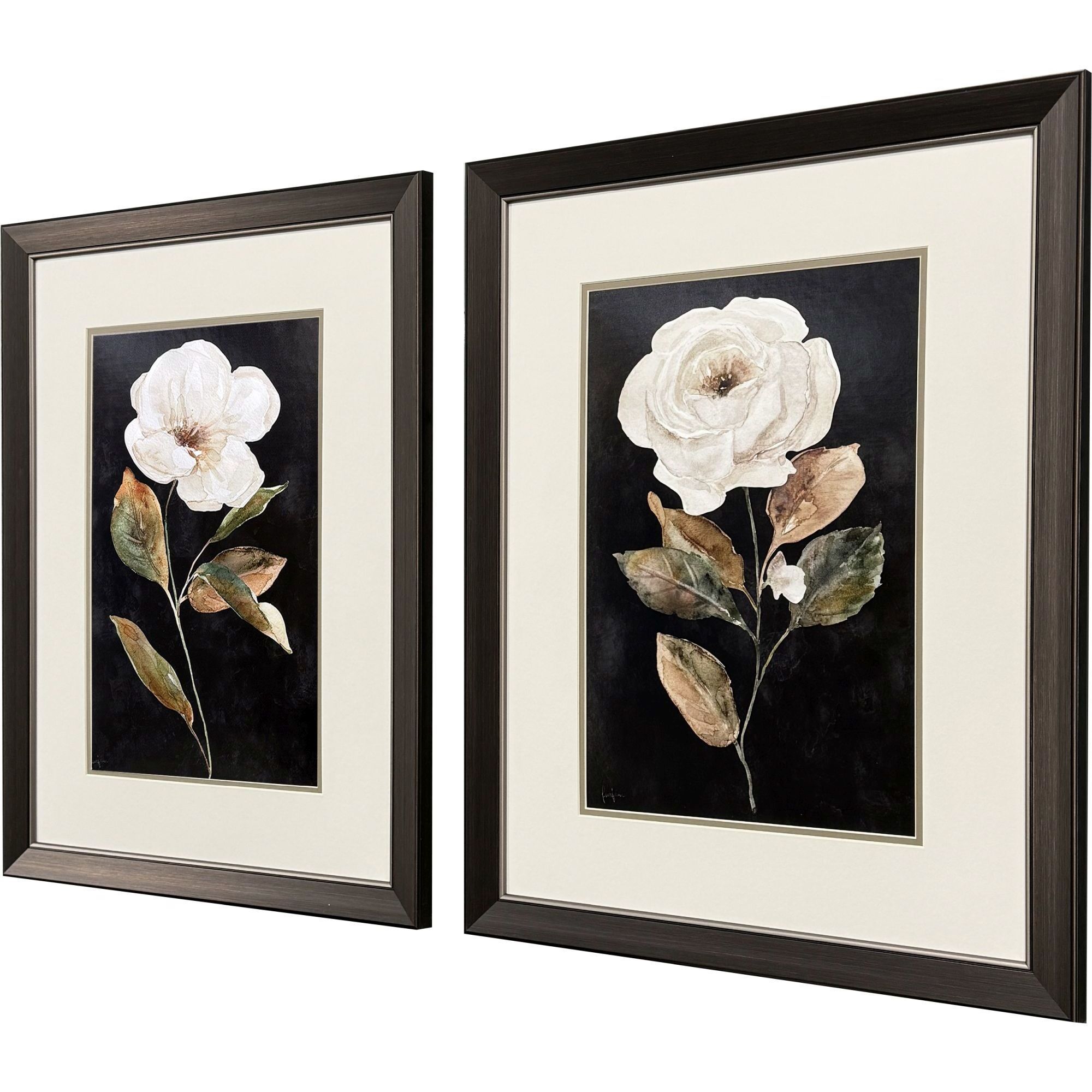 Botanical on Black Black and Brown and White Framed Art, Propac
