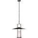 Ray Booth Amity LED 18 inch Bronze and Brass Lantern Pendant Ceiling Light